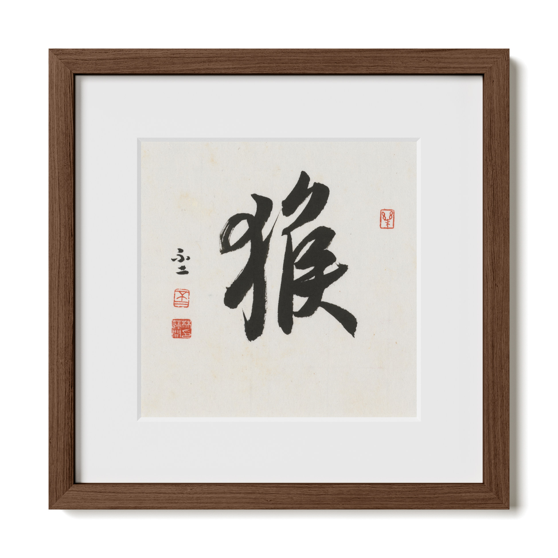 Thumbnail Label: 12X12" Walnut Premium Oak | Gallery Source: Transparent