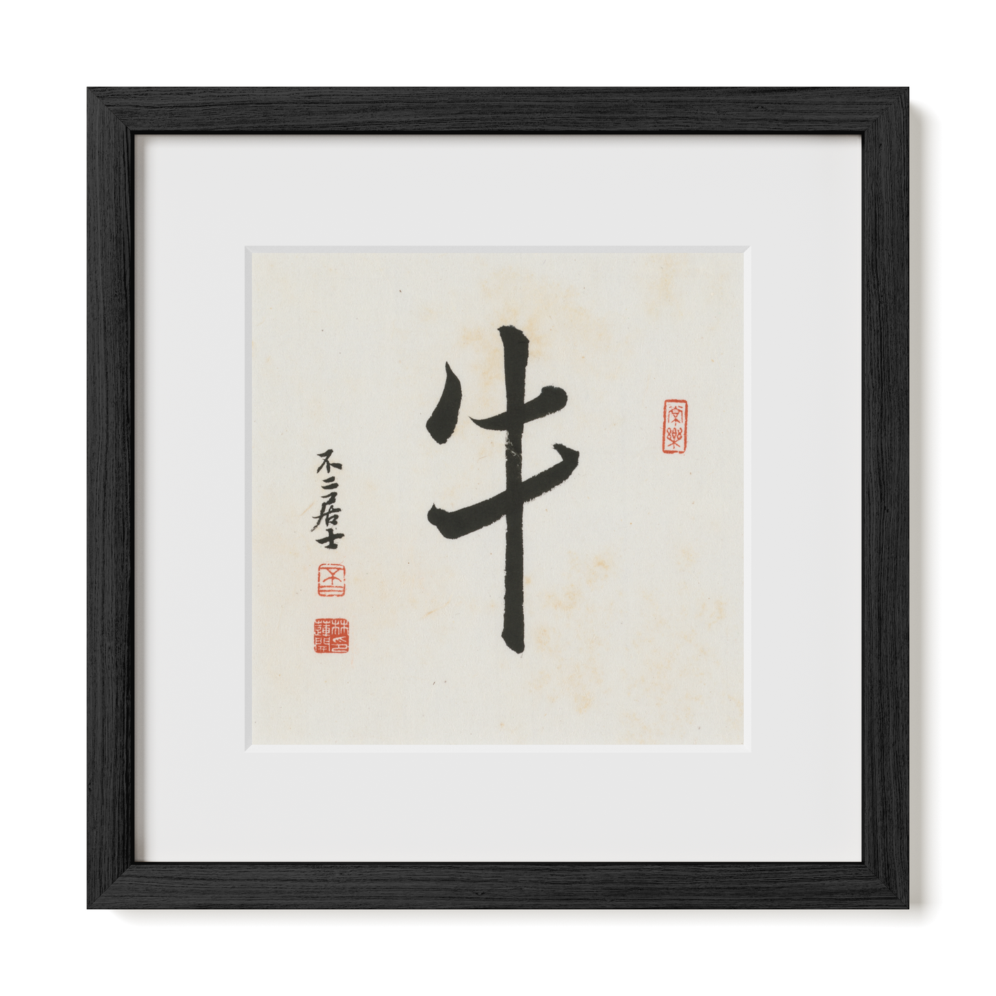 Thumbnail Label: 12X12" Black Premium Oak | Gallery Source: Transparent