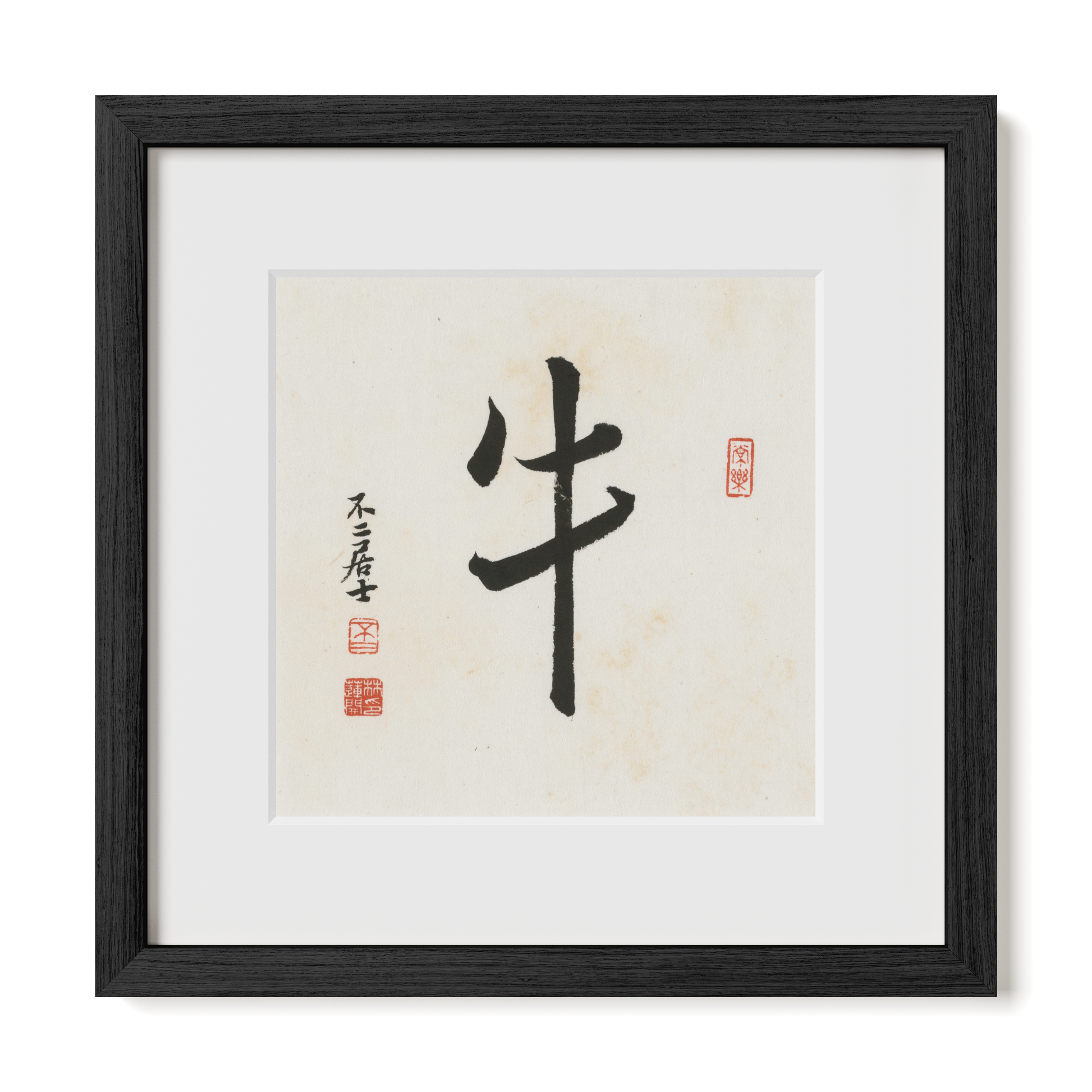 Thumbnail Label: 12X12" Black Premium Oak | Gallery Source: Transparent