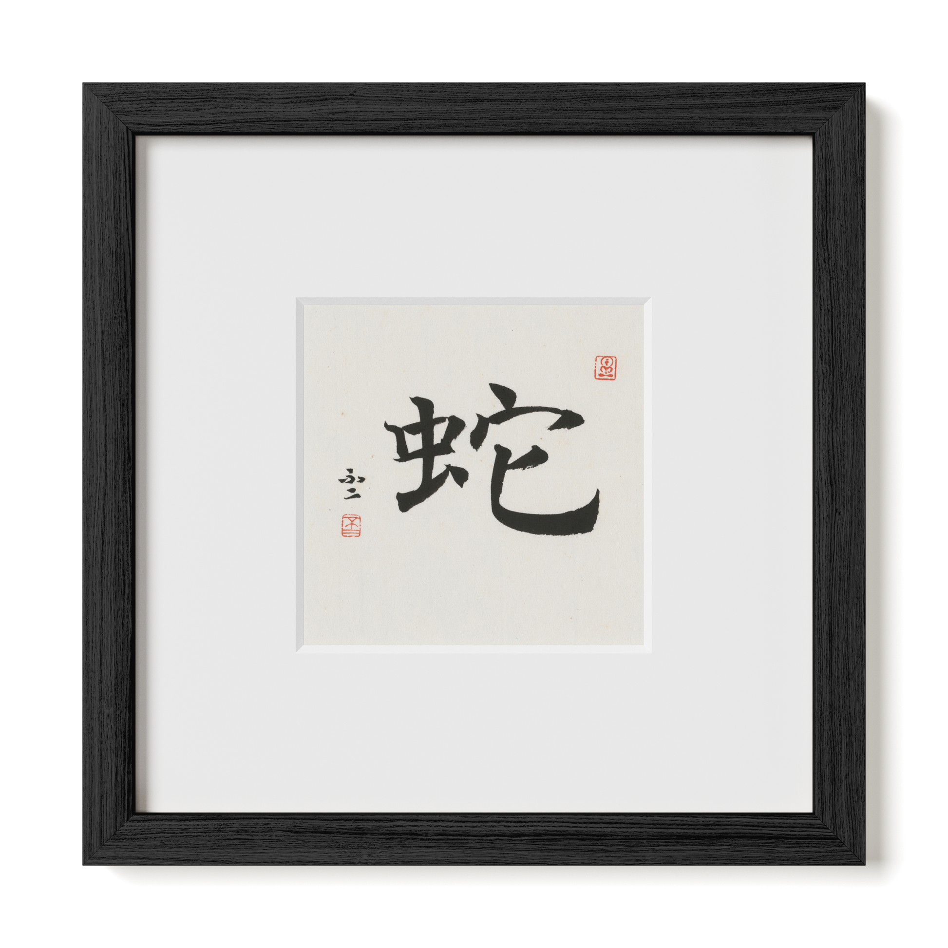Thumbnail Label: 10X10" Black Premium Oak | Gallery Source: Transparent