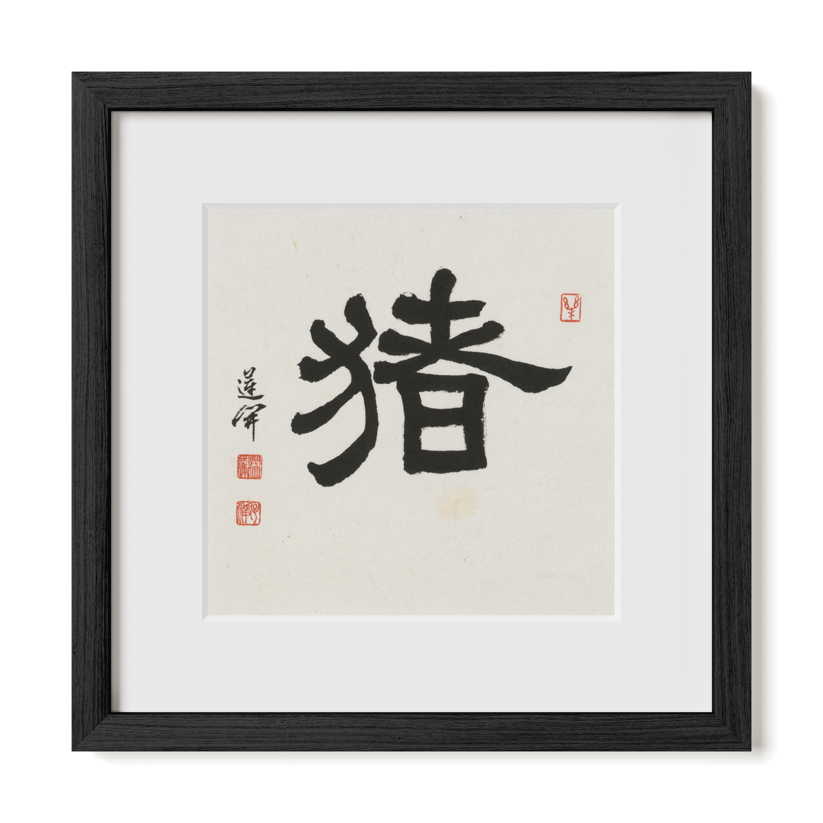 pig-clerical-12x12-premium-black-oak