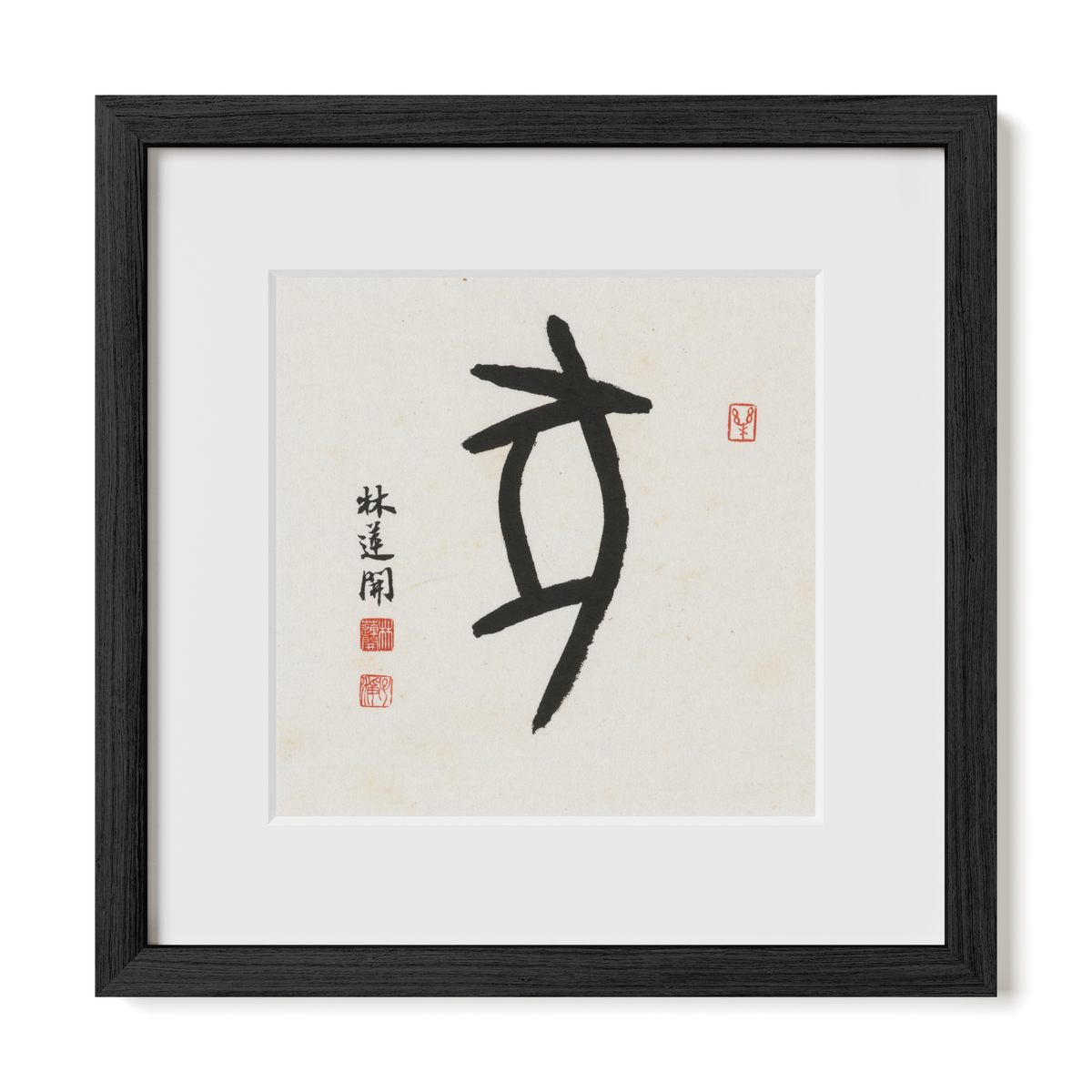 pig-oracle-12x12-premium-black-oak