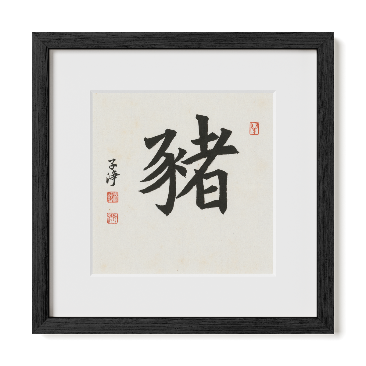 pig-regular-12x12-premium-black-oak