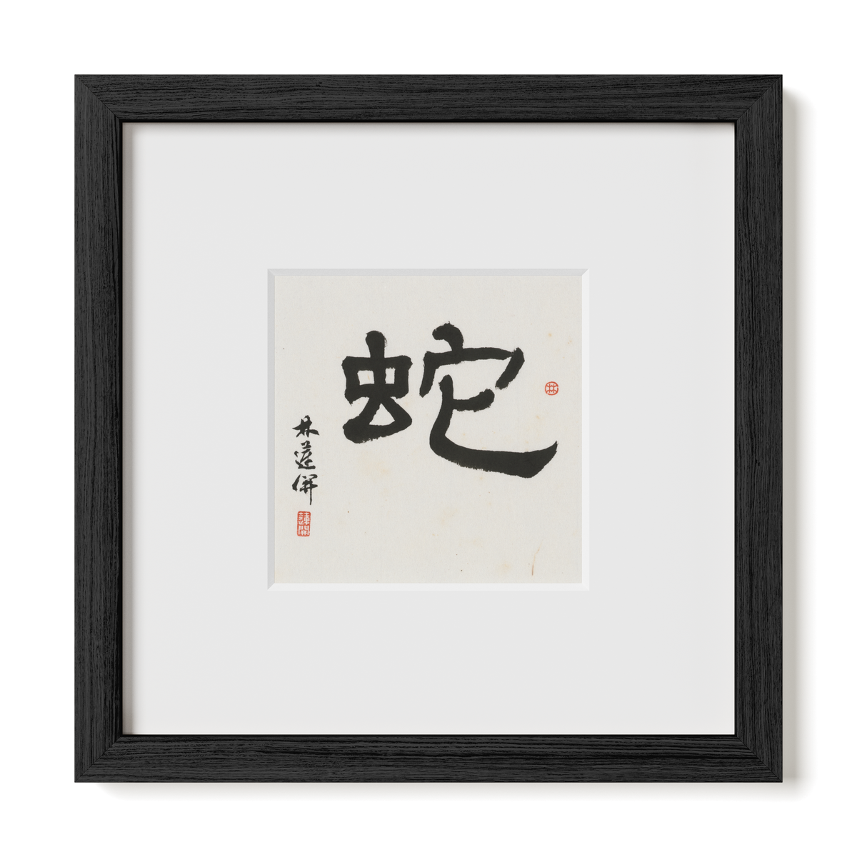 Snake | Clerical Script