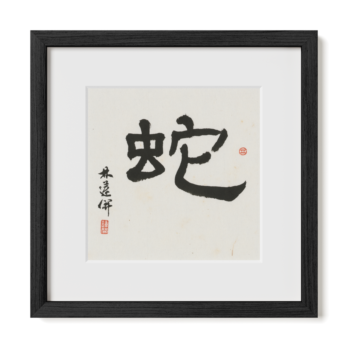 snake-clerical-12x12-premium-black-oak