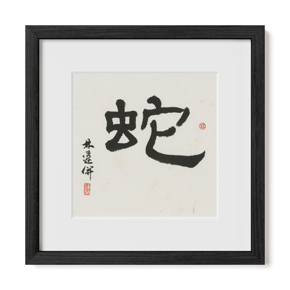 snake-clerical-12x12-premium-black-oak