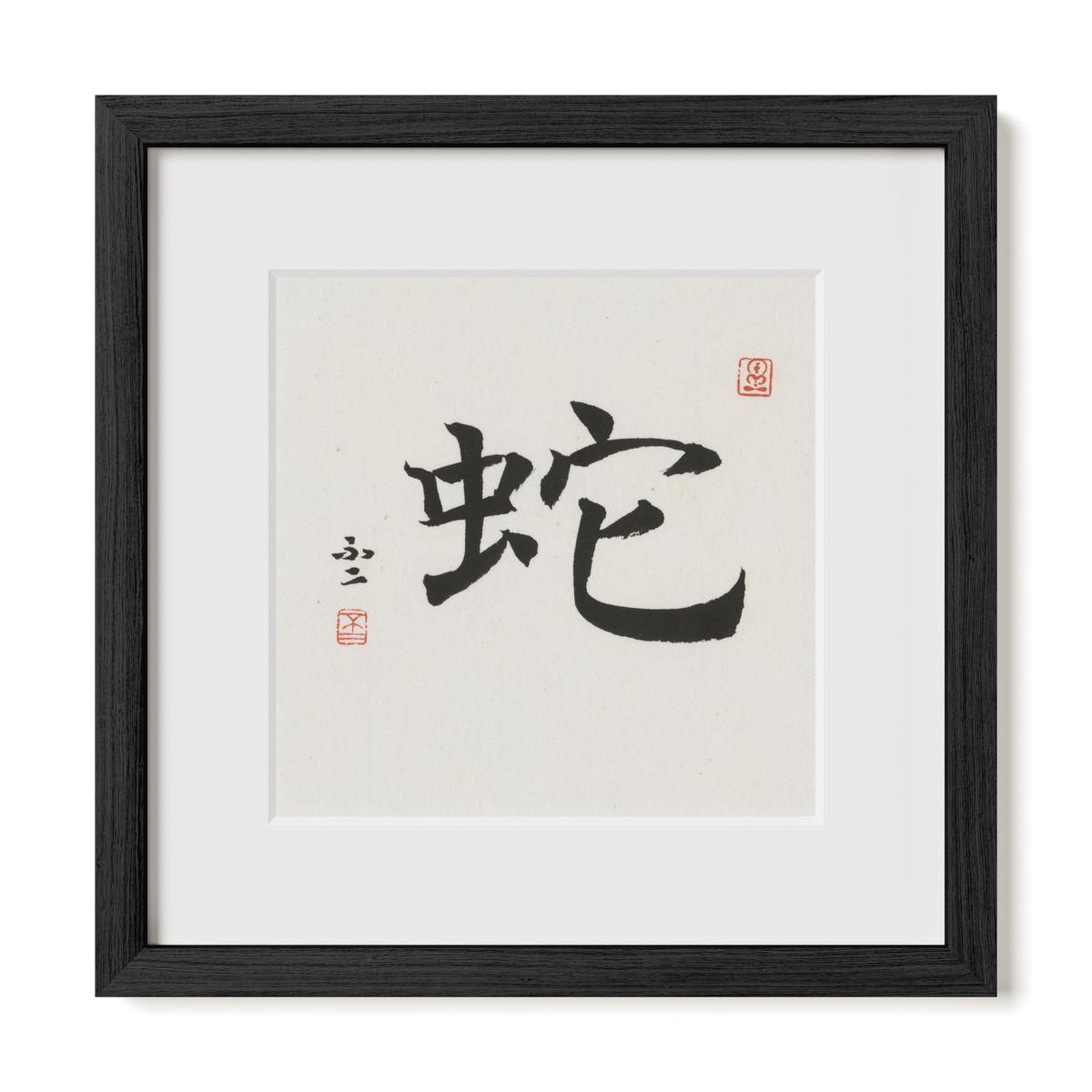 snake-regular-12x12-premium-black-oak