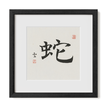 snake-regular-12x12-premium-black-oak