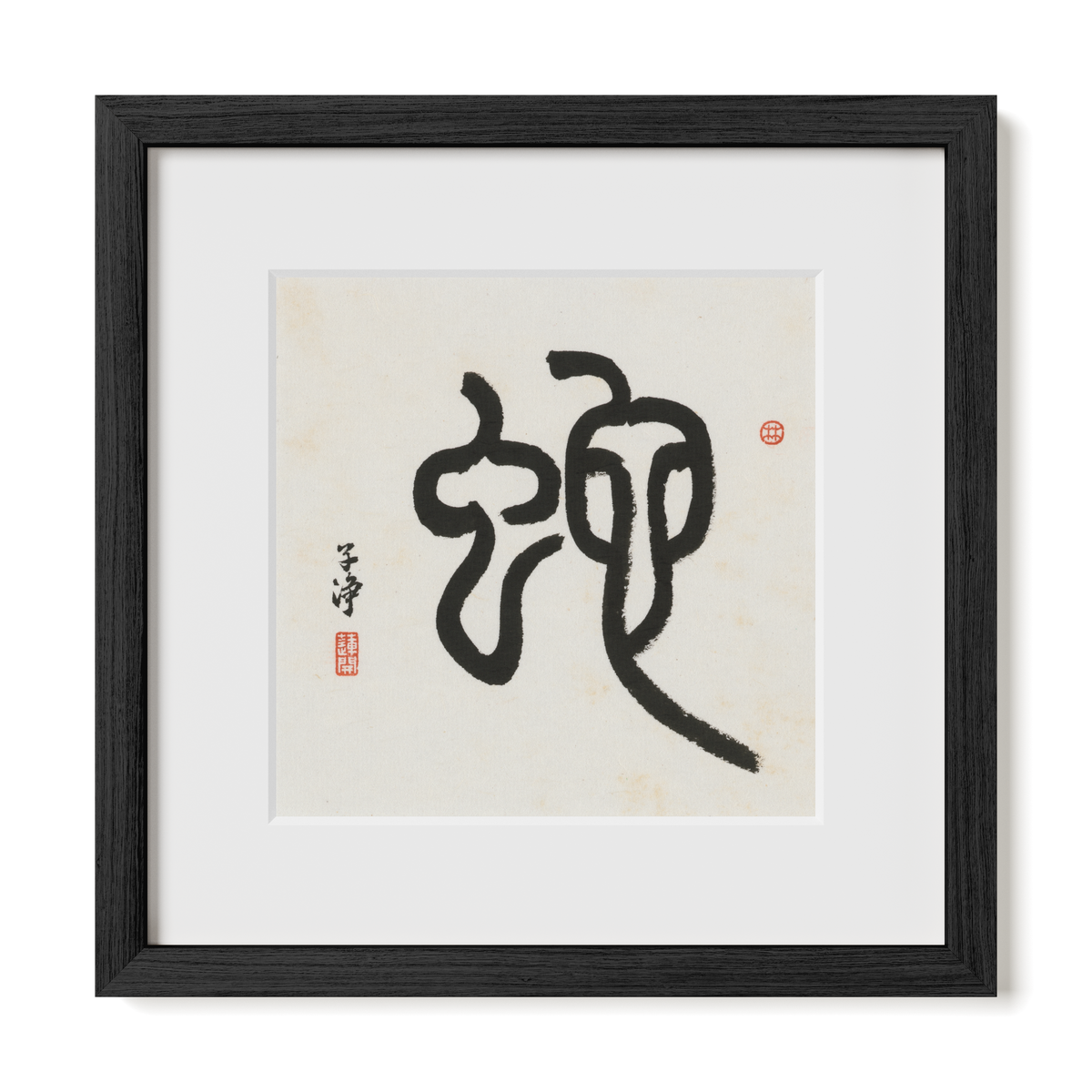 snake-seal-12x12-premium-black-oak
